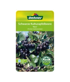 Apfelbeere, Aronia 'Nero' 10 Apfelbeere, Aronia 'Nero' -Deutschland Genussgarten Verkaufs-Shop 00000000 Aronia melanocarpa Nero 2016 1