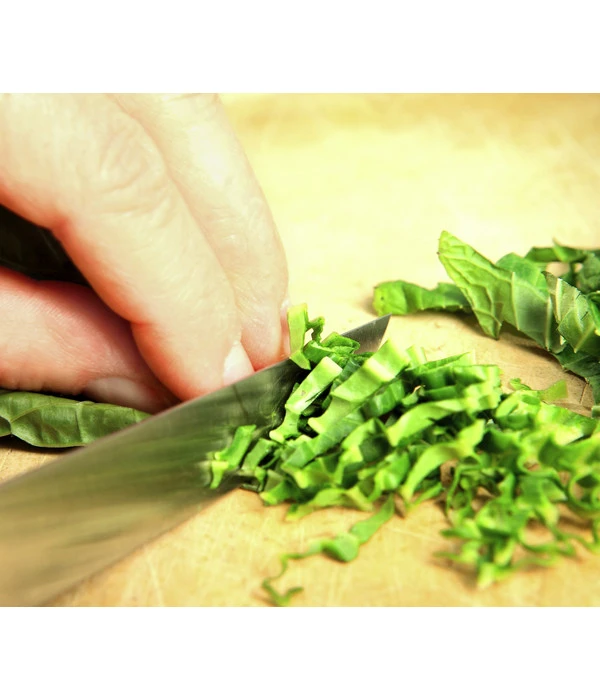 Wasabi 4 Wasabi – Bild 4