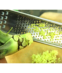 Wasabi 10 Wasabi -Deutschland Genussgarten Verkaufs-Shop 20120718 WE MO 004 Wasabi Gs Reibe