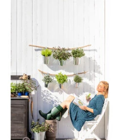 Dehner Gourmet Garten Zitronenmelisse -Deutschland Genussgarten Verkaufs-Shop 20181011 PR MO 003 Kraeuter 01