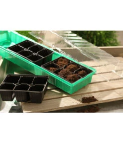 Dehner Zimmergewächshaus Frans, 54 X 15 X 12 Cm -Deutschland Genussgarten Verkaufs-Shop 207456 BildM 001 RombergZimmergewaechshausFransFensterbGewH54X15x12