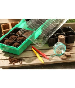 Dehner Zimmergewächshaus Frans, 54 X 15 X 12 Cm -Deutschland Genussgarten Verkaufs-Shop 207456 BildM 002 RombergZimmergewaechshausFransFensterbGewH54X15x12