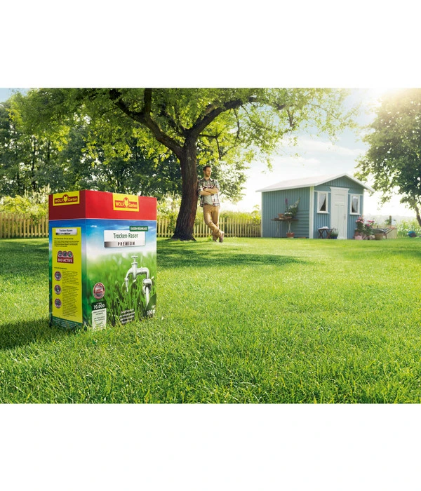 Wolf-Garten Trocken-Rasen Premium L-TP 2 Wolf-Garten Trocken-Rasen Premium L-TP – Bild 2