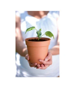 Elho Starter-Set Töpfe, 10 Stück -Deutschland Genussgarten Verkaufs-Shop 3009693 WE MO 001 StarterSetToepfeSchwarz10StueckElho