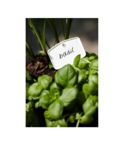 Elho Pflanz-Stift, 5 Stück -Deutschland Genussgarten Verkaufs-Shop 3266806 MO FS 001 PflanzstiftMweissElhoEtikett