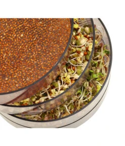 Dehner Sprossenhaus, 4 Schalen -Deutschland Genussgarten Verkaufs-Shop 3677101 WE MO 002 DehnerSprossenhausKeimsprossen