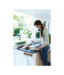 Elho Anzuchthaube L -Deutschland Genussgarten Verkaufs-Shop 4026704 WE MO 001 AnzuchthausLTransparentElho