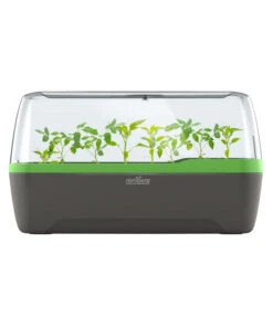 Romberg BoQube Gewächshaus 13 Romberg BoQube Gewächshaus -Deutschland Genussgarten Verkaufs-Shop 4299970 WE FS 005 RombergGewaechshausZimmergewaechshausAnzucht