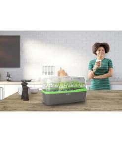 Romberg BoQube Gewächshaus 15 Romberg BoQube Gewächshaus -Deutschland Genussgarten Verkaufs-Shop 4299970 WE MO 001 RombergGewaechshausZimmergewaechshausAnzucht