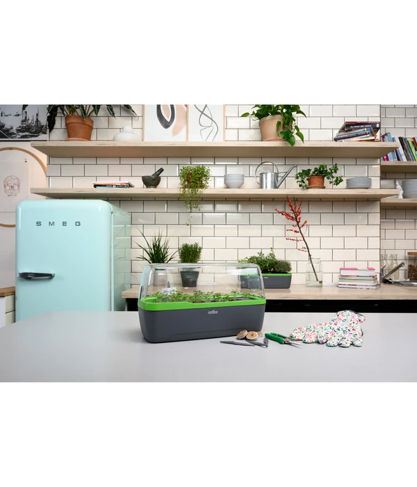 Romberg BoQube Gewächshaus 8 Romberg BoQube Gewächshaus – Bild 8