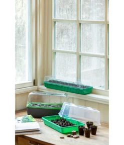 Romberg BoQube Gewächshaus 17 Romberg BoQube Gewächshaus -Deutschland Genussgarten Verkaufs-Shop 4299970 WE MO 004 BoQubeZimmergewaechshaus 1