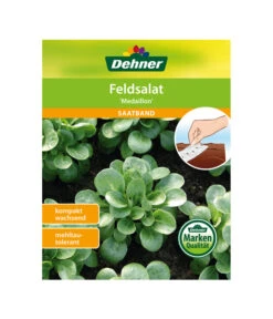 Dehner Samen-Set Easy Going -Deutschland Genussgarten Verkaufs-Shop 4322590 WE FS 005 DehnerSamenSaatgutSaemereienSetEasyGoing
