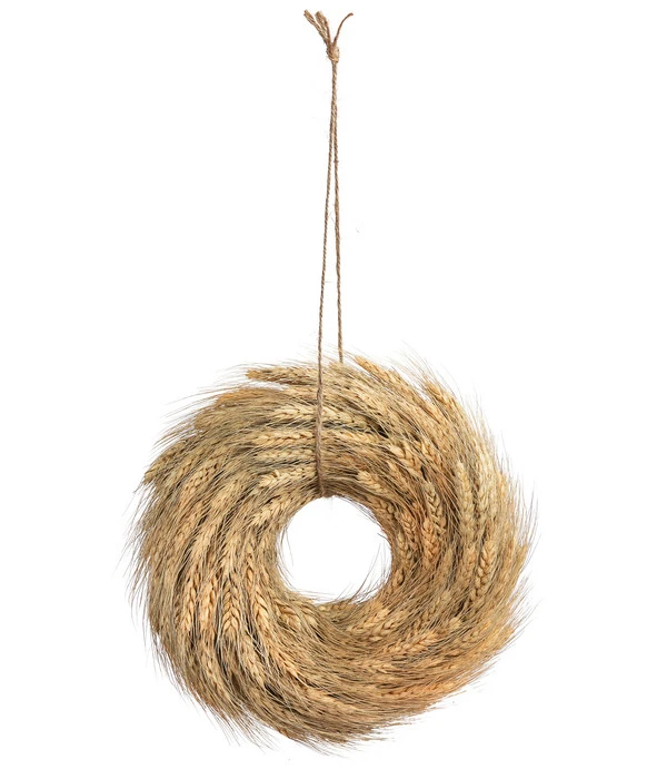 Dehner Türkranz Weizen 2 Dehner Türkranz Weizen – Bild 2