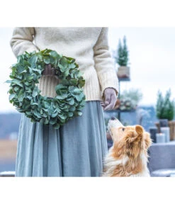 Dehner Kranz Eukalyptus, Grün, Ca. Ø40 Cm -Deutschland Genussgarten Verkaufs-Shop 6279830 WE MO 001 EukalyptusKranz 03