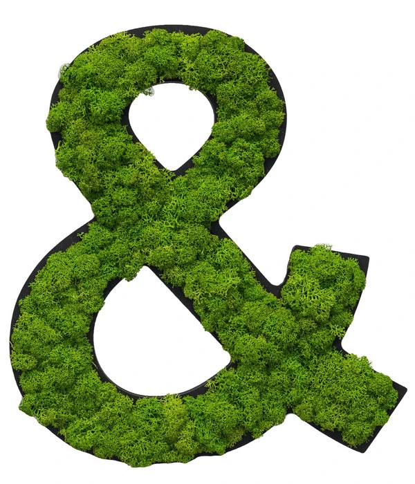 StyleGREEN Sonderzeichen 'Und' Aus Islandmoos, Ca. B20/H25/T3,5 Cm 1 StyleGREEN Sonderzeichen 'Und' Aus Islandmoos, Ca. B20/H25/T3,5 Cm