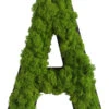 StyleGREEN Buchstaben Aus Islandmoos, Ca. H25 Cm