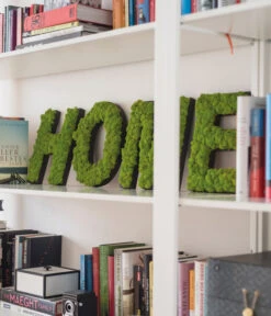 StyleGREEN Buchstaben Aus Islandmoos, Ca. H25 Cm -Deutschland Genussgarten Verkaufs-Shop 6429435 WE MO 002 BuchstabenIslandmoosHome