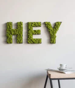 StyleGREEN Buchstaben Aus Islandmoos, Ca. H25 Cm -Deutschland Genussgarten Verkaufs-Shop 6429435 WE MO 003 BuchstabenIslandmoosHey