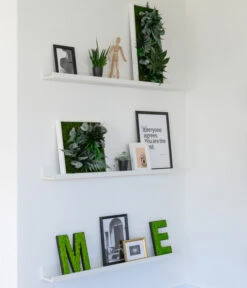 StyleGREEN Buchstaben Aus Islandmoos, Ca. H25 Cm -Deutschland Genussgarten Verkaufs-Shop 6429435 WE MO 004 BuchstabenIslandmoosimRegal