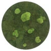StyleGREEN Bild Aus Wald- Und Kugelmoos, Kreisförmig, Ca. Ø54 Cm