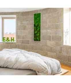 StyleGREEN Bild Aus Wald- Und Kugelmoos Im Verlauf, Ca. B140/H40/T7 Cm 6 StyleGREEN Bild Aus Wald- Und Kugelmoos Im Verlauf, Ca. B140/H40/T7 Cm -Deutschland Genussgarten Verkaufs-Shop 6429799 PR MO 001 Wald Kugelmoosbild140x40cm