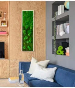 StyleGREEN Bild Aus Wald- Und Kugelmoos Im Verlauf, Ca. B140/H40/T7 Cm 7 StyleGREEN Bild Aus Wald- Und Kugelmoos Im Verlauf, Ca. B140/H40/T7 Cm -Deutschland Genussgarten Verkaufs-Shop 6429799 PR MO 002 Wald Kugelmoosbild140x40cm