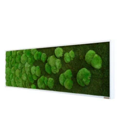 StyleGREEN Bild Aus Wald- Und Kugelmoos Im Verlauf, Ca. B140/H40/T7 Cm 5 StyleGREEN Bild Aus Wald- Und Kugelmoos Im Verlauf, Ca. B140/H40/T7 Cm -Deutschland Genussgarten Verkaufs-Shop 6429799 WE FS 002 Wald Kugelmoosbild140x40cm
