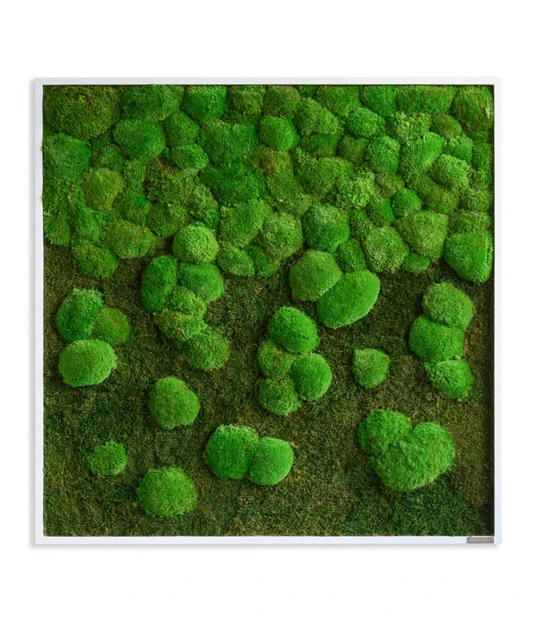 StyleGREEN Bild Aus Wald- Und Kugelmoos Im Verlauf, Ca. B80/H80/T7 Cm 1 StyleGREEN Bild Aus Wald- Und Kugelmoos Im Verlauf, Ca. B80/H80/T7 Cm