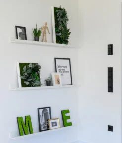 StyleGREEN Bild Im Dschungeldesign, Rechteckig, Ca. B57/H27/T16 Cm -Deutschland Genussgarten Verkaufs-Shop 6429930 WE MO 002 Pflanzenbild57x27cmStylegreen