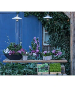 Grabgesteck Unvergessen, Herzförmig, Ca. B25/H25/T25 Cm 5 Grabgesteck Unvergessen, Herzförmig, Ca. B25/H25/T25 Cm -Deutschland Genussgarten Verkaufs-Shop 6462931 WE MO 001 SerieUnvergessenPremiumAllerheiligen2023