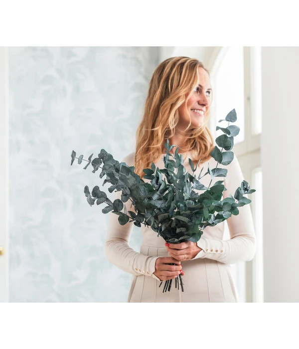 Trockenblumenbund Eukalyptus, Dunkelgrün 2 Trockenblumenbund Eukalyptus, Dunkelgrün – Bild 2