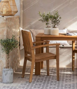 Olive, Stamm, In Keramik, Ca. Ø17/H90 Cm -Deutschland Genussgarten Verkaufs-Shop 6657415 WE MO 002 GruppeHavanna