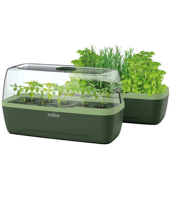 Romberg BOQUBE Anzuchtset L Plus, Ca. B17/H23/T41 Cm 1 Romberg BOQUBE Anzuchtset L Plus, Ca. B17/H23/T41 Cm