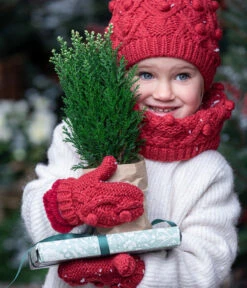 Scheinzypresse 'Snow White' -Deutschland Genussgarten Verkaufs-Shop 7109762 WE MO 001 ScheinzypresseSnowWhite