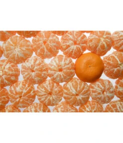 Mandarine -Deutschland Genussgarten Verkaufs-Shop 7120306 WE MO 001 MandarineCitrusReticulataPixabay