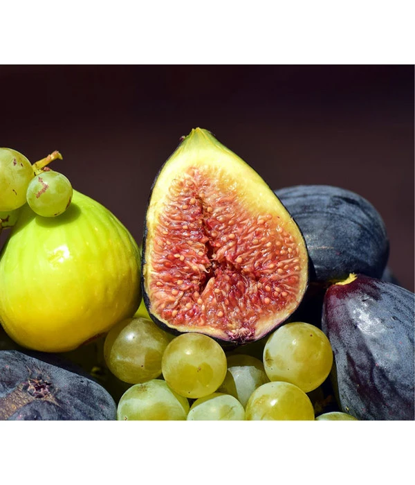 Bornholmfeige 1 Bornholmfeige