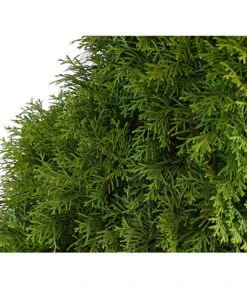 13 Meter Lebensbaum 'Smaragd', 40 X Ca. 80-100 Cm 9 13 Meter Lebensbaum 'Smaragd', 40 X Ca. 80-100 Cm -Deutschland Genussgarten Verkaufs-Shop 7513534 WE DE 001 ThujaLebensbaumOccidentalisSmaragd20LDehnerExpressHerzig