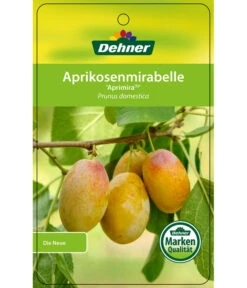 Dehner Aprikosenmirabelle 'Aprimira' -Deutschland Genussgarten Verkaufs-Shop 7600851 AprikosenmirabelleAprimira Etikett 1