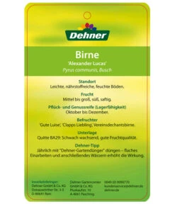 Winterbirne 'Alexander Lucas' -Deutschland Genussgarten Verkaufs-Shop 7602709 BirneAlexanderLucas Etikett 2