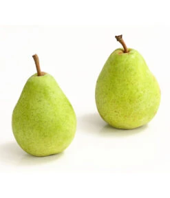 Winterbirne 'Alexander Lucas' -Deutschland Genussgarten Verkaufs-Shop 7602709 WE DE 007 BirneAlexanderLucasDehnerExpressHerzig