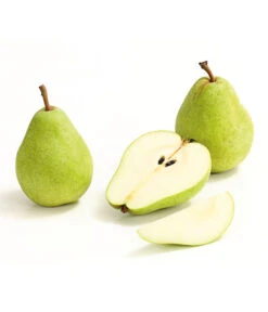 Winterbirne 'Alexander Lucas' -Deutschland Genussgarten Verkaufs-Shop 7602709 WE DE 008 BirneAlexanderLucasDehnerExpressHerzig