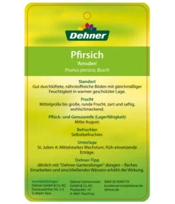 Dehner Pfirsich 'Amsden' 5 Dehner Pfirsich 'Amsden' -Deutschland Genussgarten Verkaufs-Shop 7603665 PfirsichAmsden Etikett 2