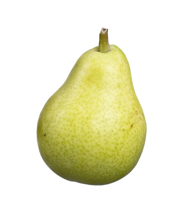 Säulenbirne 'Jeanne D'Arc' 2 Säulenbirne 'Jeanne D'Arc' – Bild 2