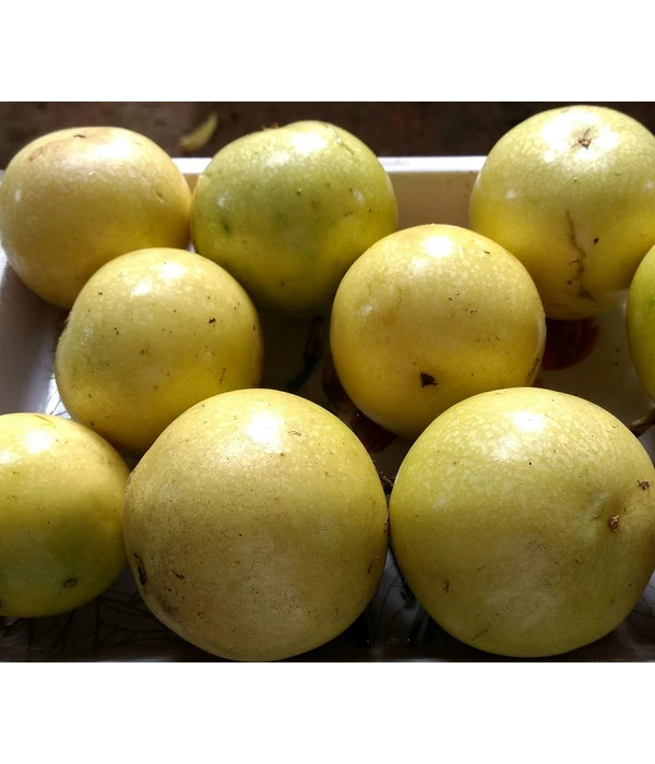 Süße Granadilla 1 Süße Granadilla