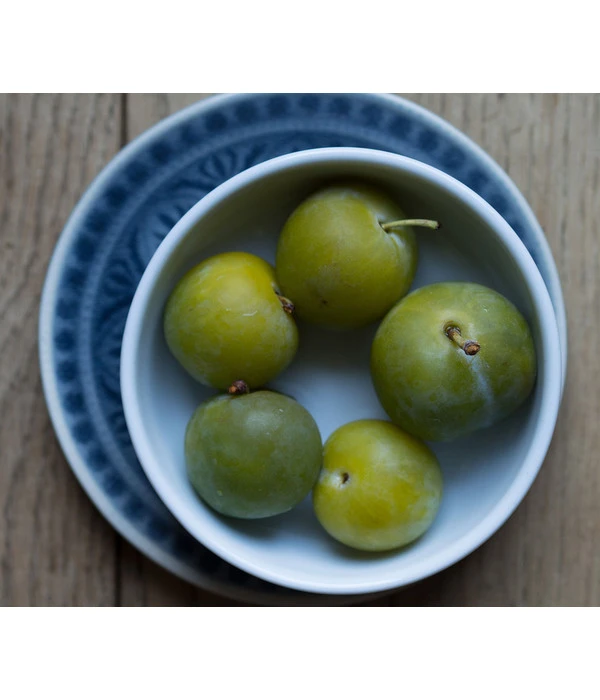 Dehner Reneklode 'Große Grüne Reneklode' 1 Dehner Reneklode 'Große Grüne Reneklode'