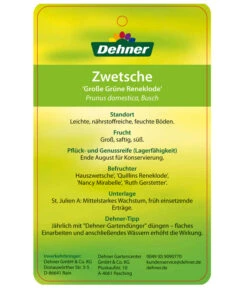 Dehner Reneklode 'Große Grüne Reneklode' 5 Dehner Reneklode 'Große Grüne Reneklode' -Deutschland Genussgarten Verkaufs-Shop 7657802 ReneklodeGrosseGrueneReneklode Etikett 2