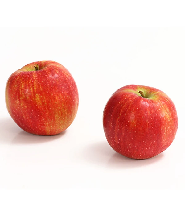 Winterapfel 'Jonagold' 1 Winterapfel 'Jonagold'