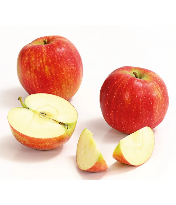 Winterapfel 'Jonagold' 2 Winterapfel 'Jonagold' – Bild 2