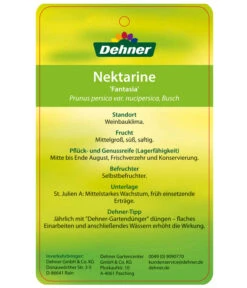 Nektarine 'Fantasia' 9 Nektarine 'Fantasia' -Deutschland Genussgarten Verkaufs-Shop 7720170 NektarineFantasia Etikett 2