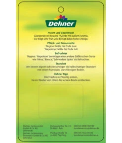 Kirschen-Duo 'Regina/Napoleon' -Deutschland Genussgarten Verkaufs-Shop 7738792 Suesskirschen DuoReginaNapoleon Etikett 2